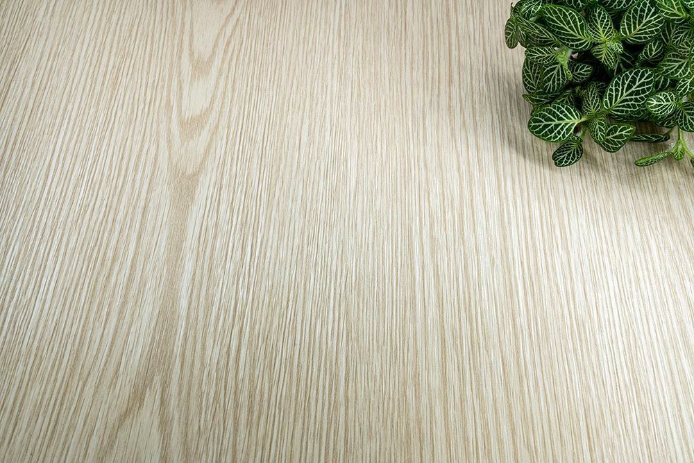 Cream Pine - AG20